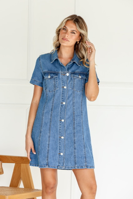 Elsa Denim Shirt Dress