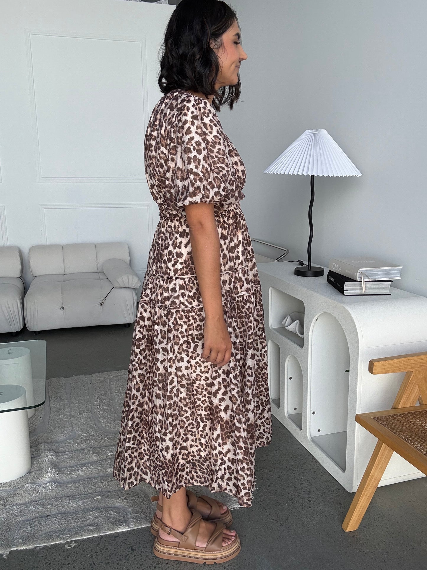 Anushka Animal Print Dress