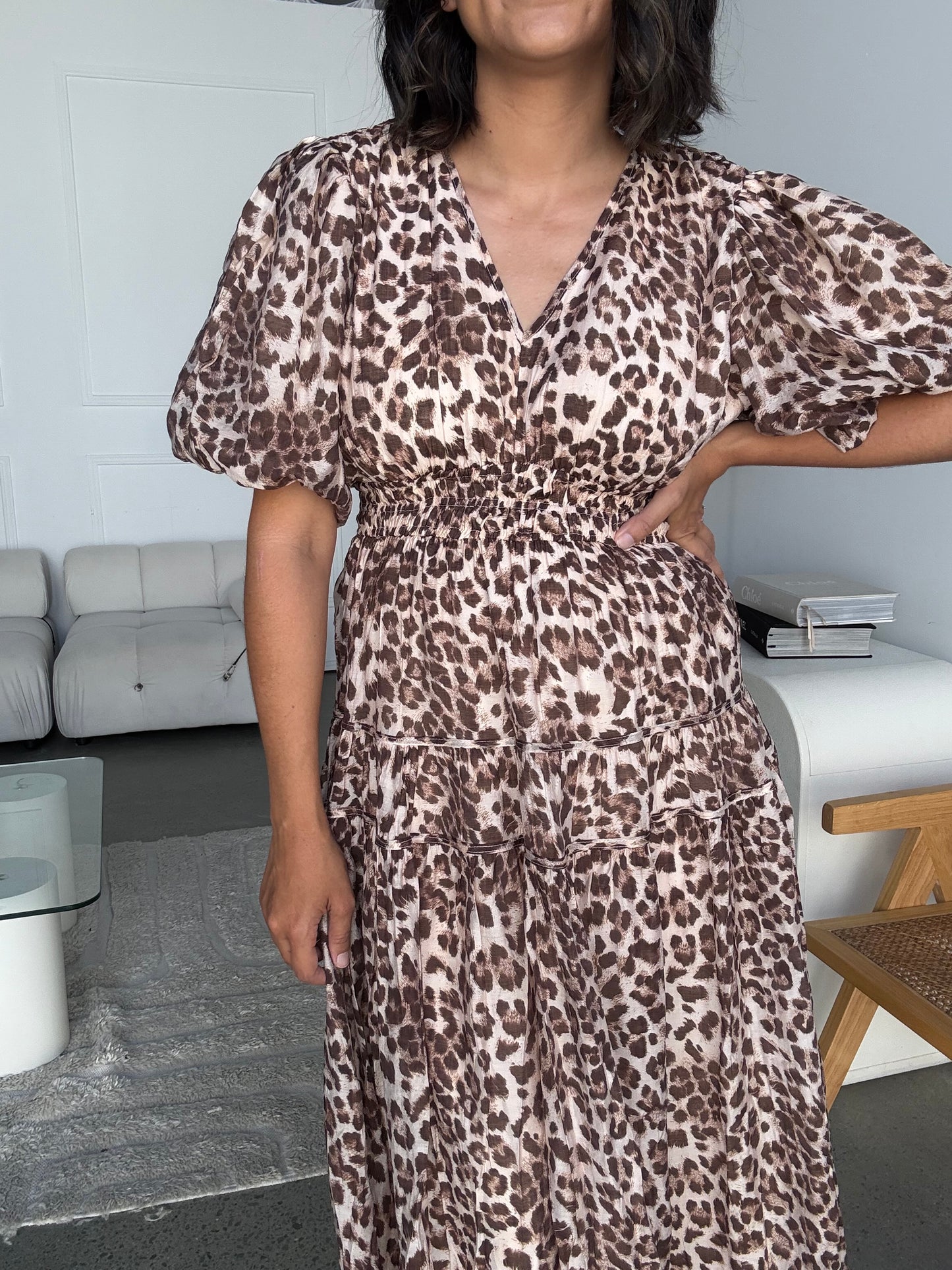 Anushka Animal Print Dress